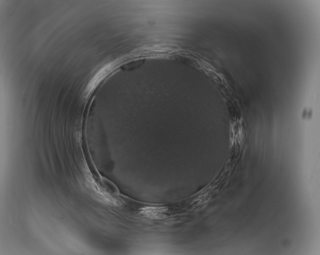 X0000111800051200907231220