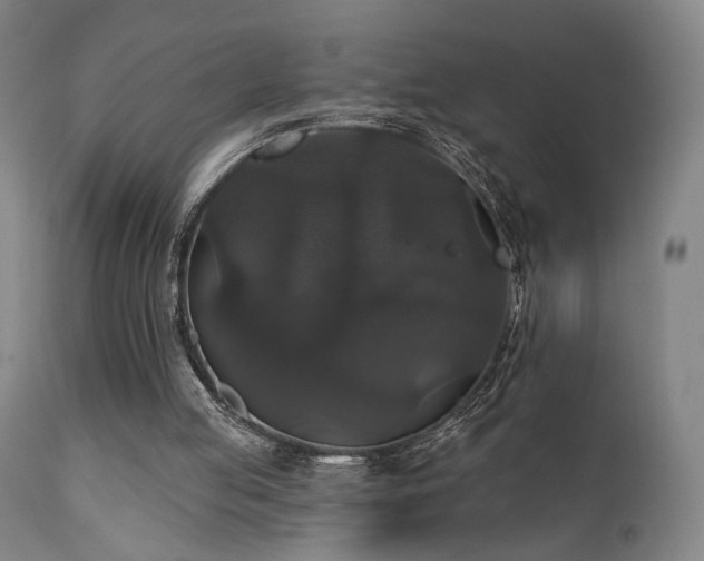 X0000111800053200907231220