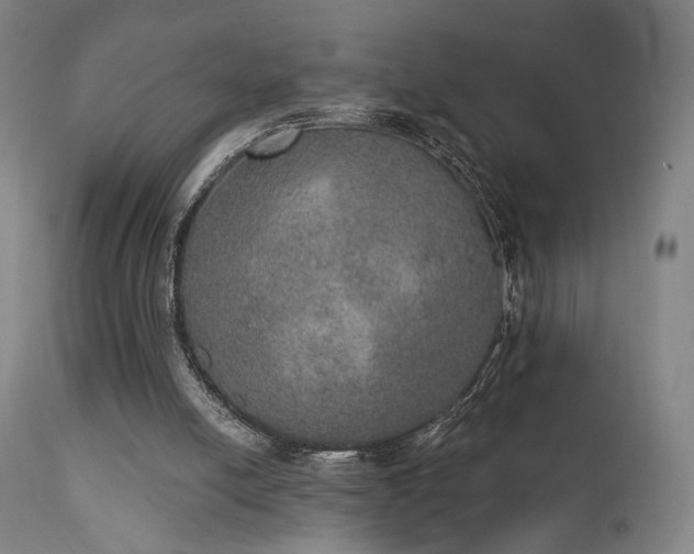 X0000111800054200907231220
