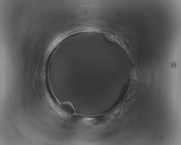X0000111800055200907231220