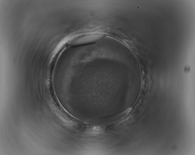 X0000111800056200907231220