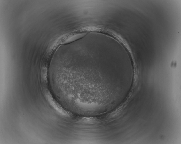 X0000111800057200907231220