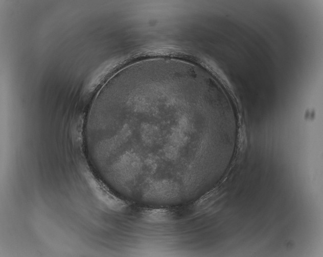 X0000111800058200907231220