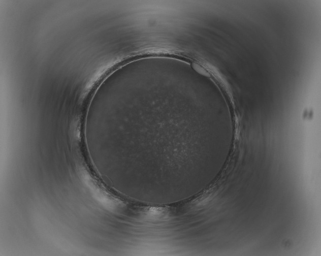 X0000111800060200907231220