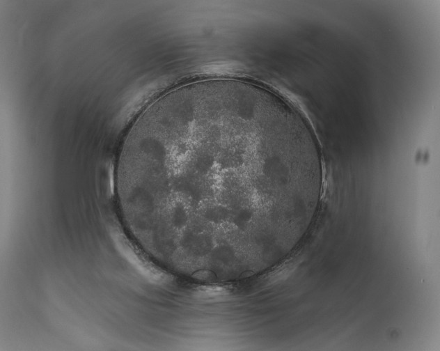 X0000111800061200907231220