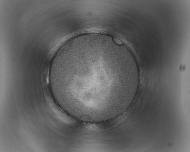 X0000111800062200907231220