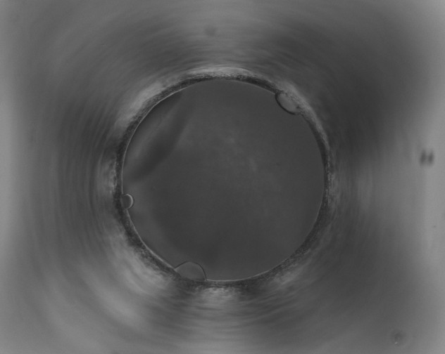 X0000111800063200907231220