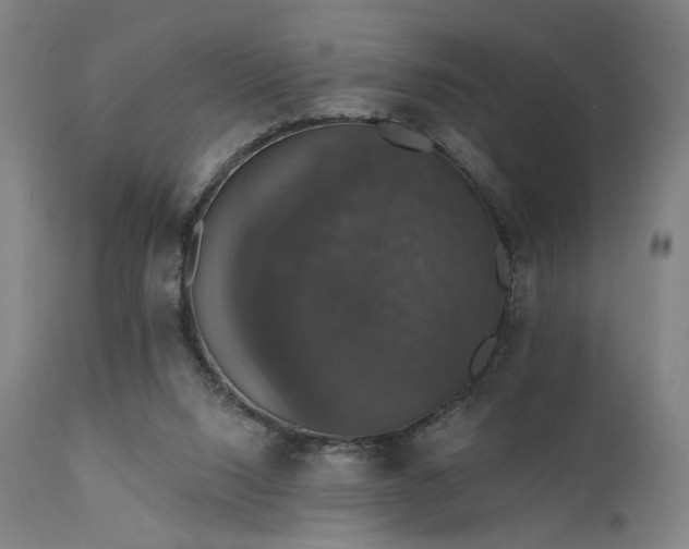 X0000111800064200907231220
