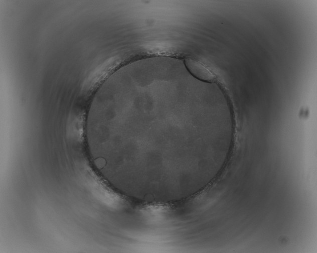X0000111800065200907231220