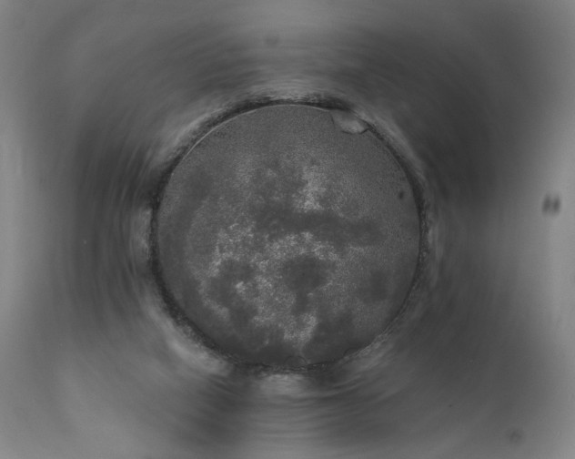 X0000111800066200907231220