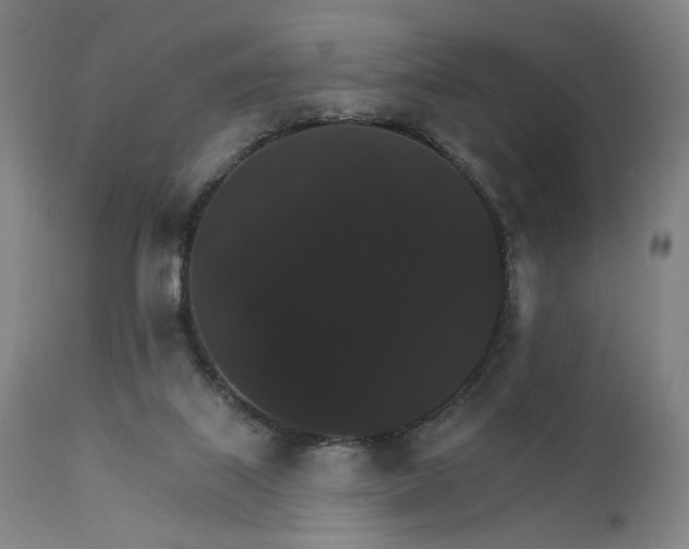 X0000111800067200907231220
