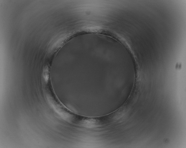 X0000111800069200907231220