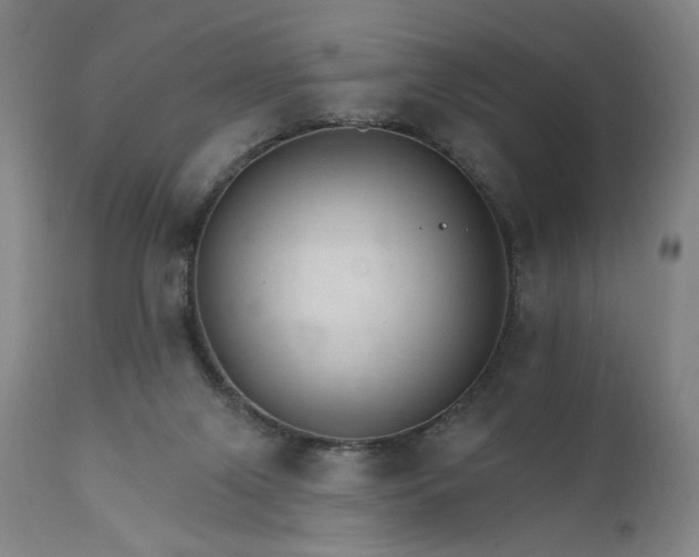 X0000111800071200907231220