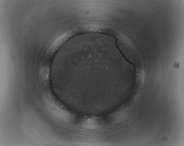 X0000111800072200907231220