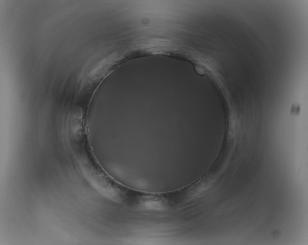 X0000111800073200907231220