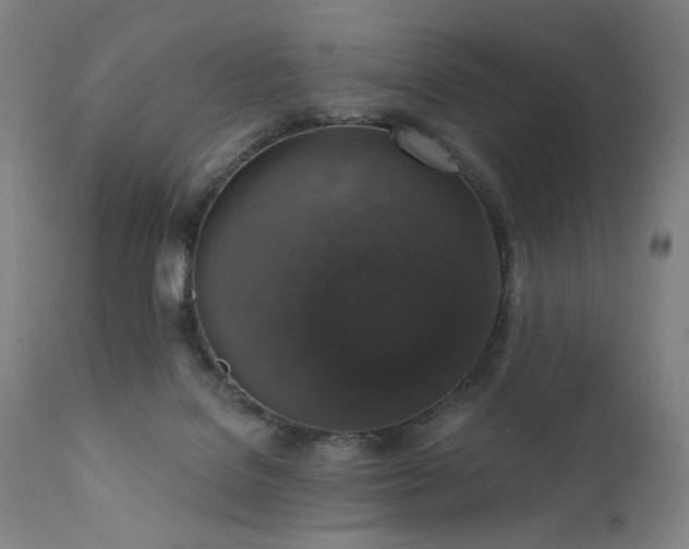 X0000111800076200907231220