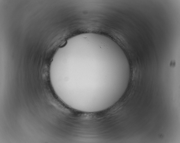 X0000111800077200907231220