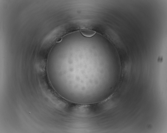 X0000111800078200907231220