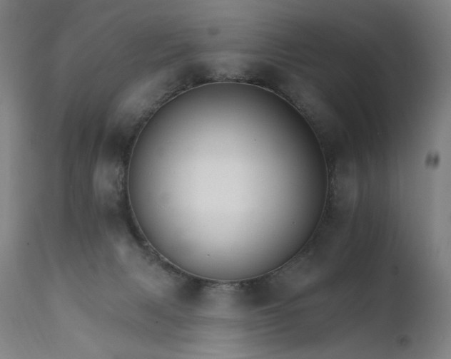 X0000111800079200907231220