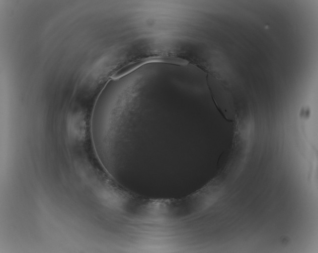 X0000111800080200907231220