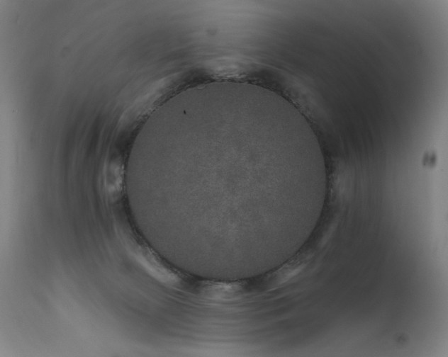 X0000111800081200907231220