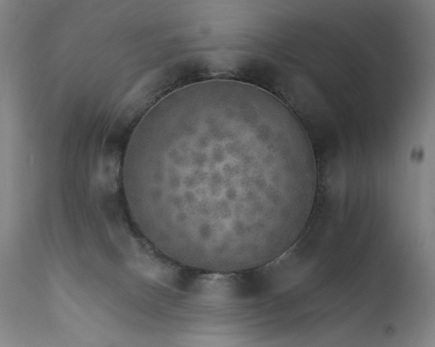 X0000111800082200907231220