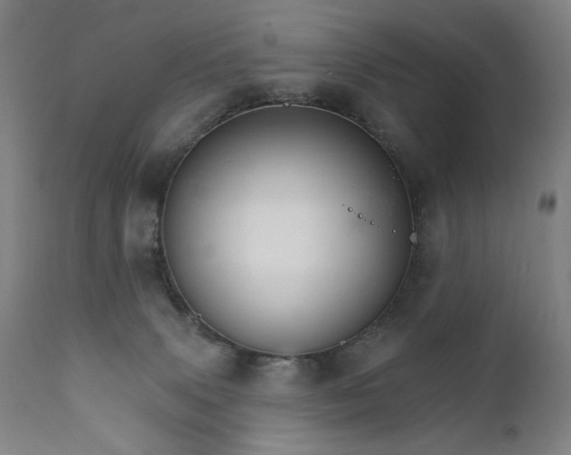 X0000111800083200907231220