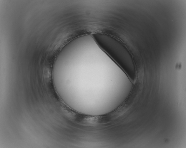 X0000111800084200907231220