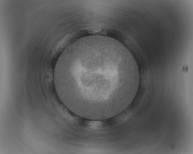 X0000111800085200907231220