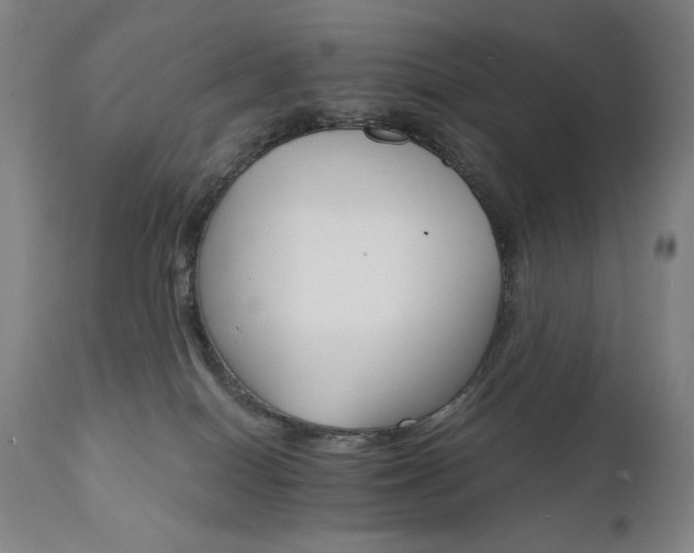 X0000111800086200907231220