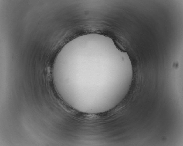 X0000111800087200907231220
