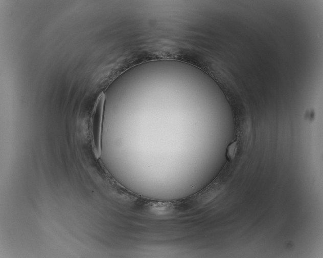 X0000111800088200907231220