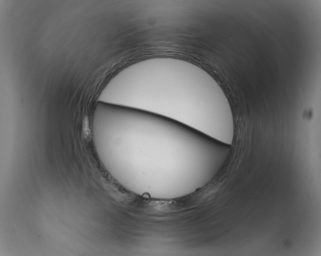 X0000111800089200907231220