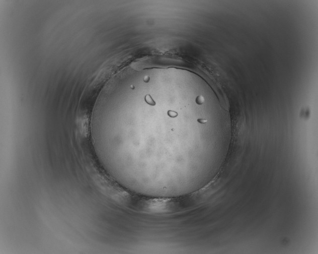 X0000111800090200907231220