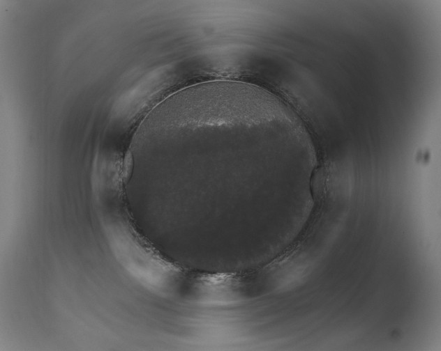 X0000111800092200907231221