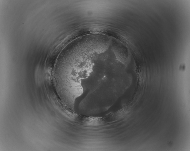 X0000111800093200907231221