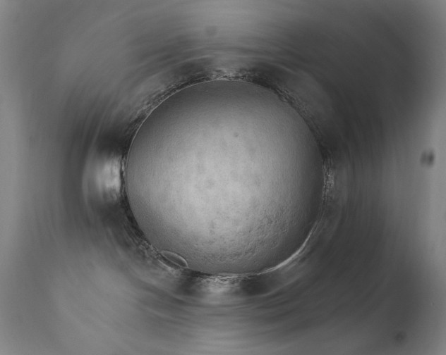 X0000111800094200907231221