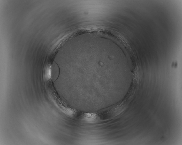 X0000111800095200907231221