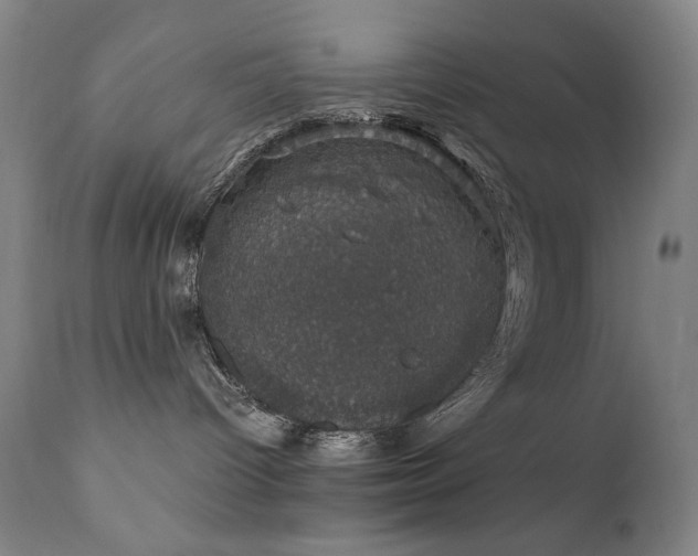 X0000111800096200907231221