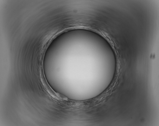 X0000111800097200907231220