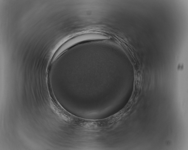 X0000111800100200907231220