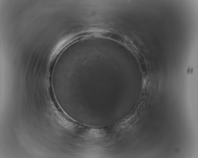 X0000111800101200907231220