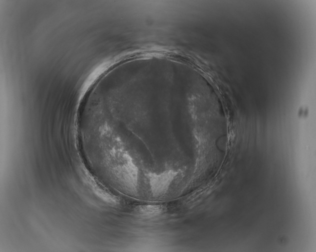 X0000111800102200907231219
