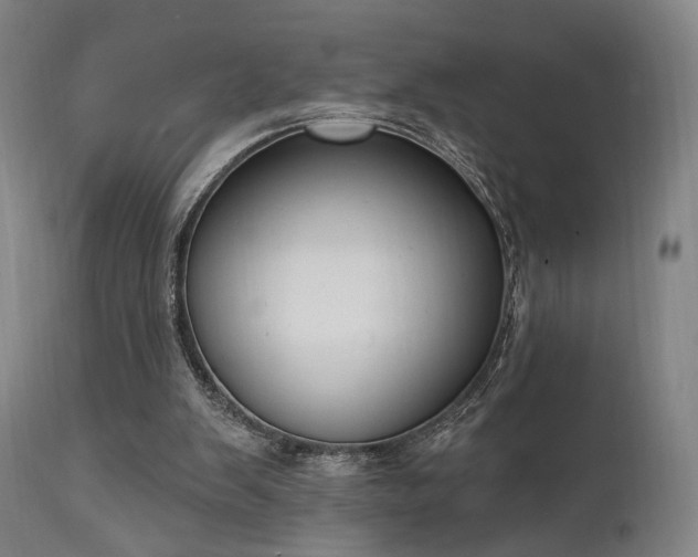 X0000111800103200907231219