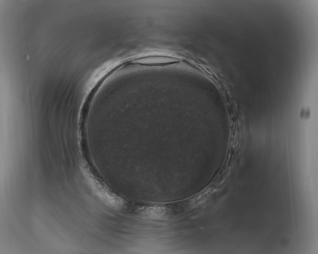 X0000111800104200907231219