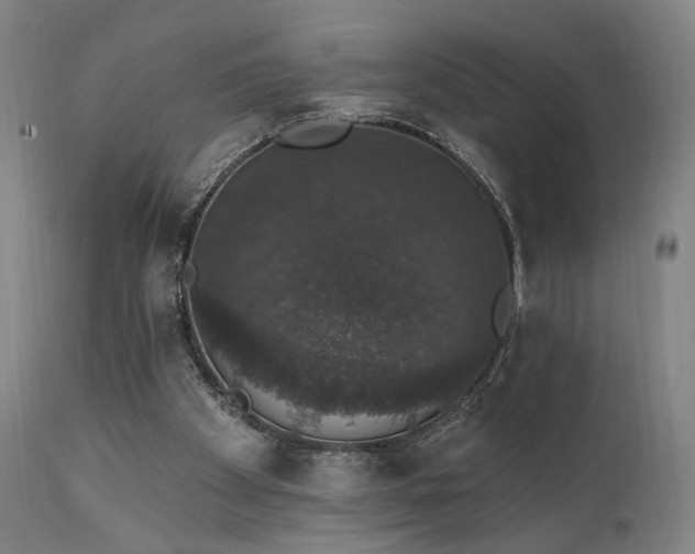 X0000111800105200907231219