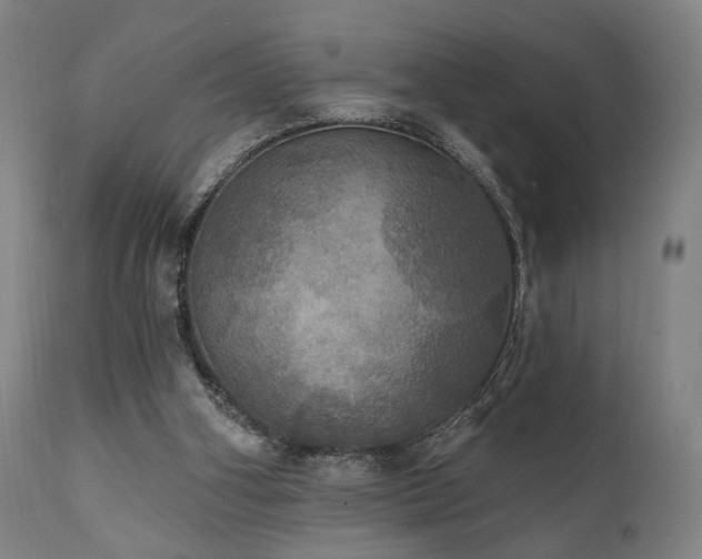 X0000111800106200907231219