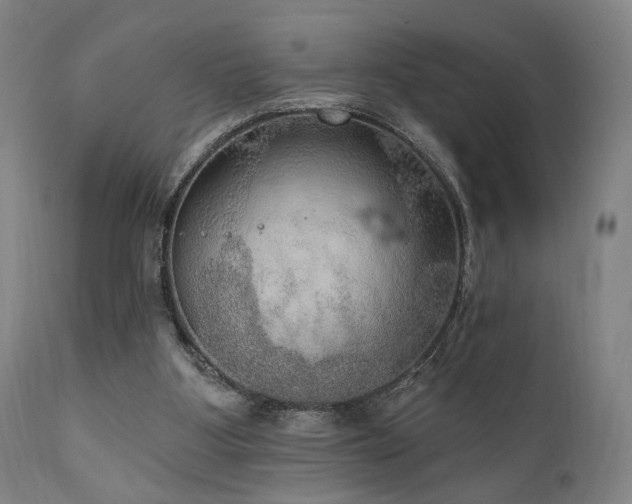 X0000111800107200907231219