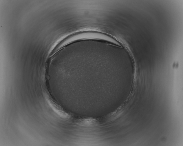 X0000111800108200907231219