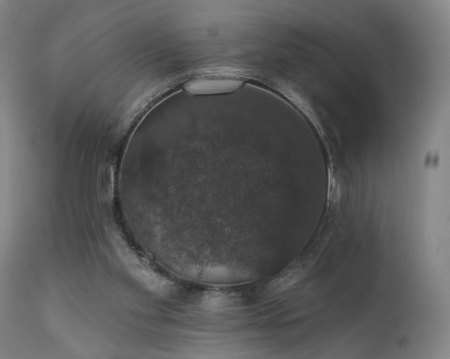 X0000111800109200907231219